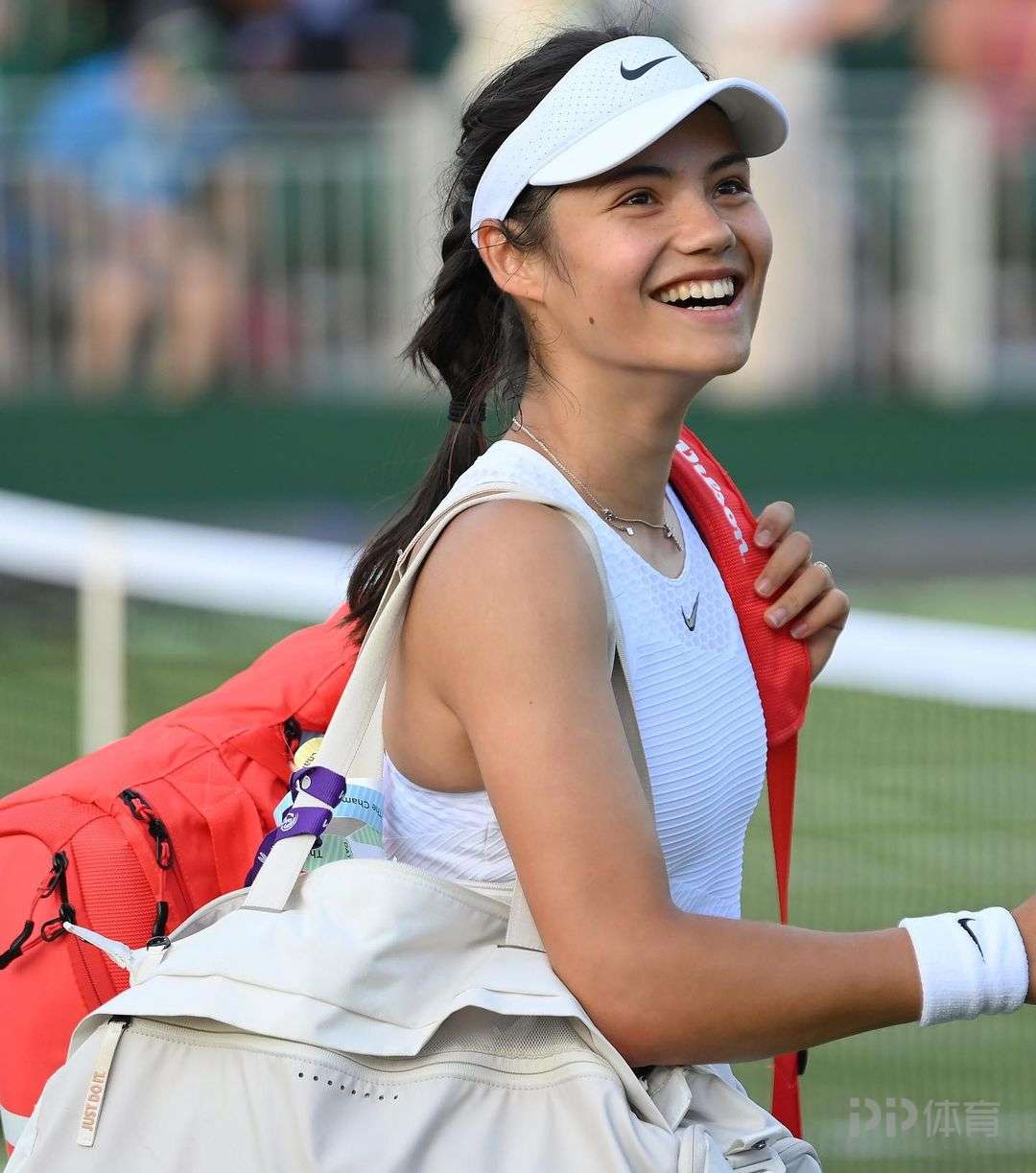 桑托斯球迷 桑托斯球迷